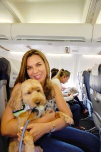 Todo el proceso fue de maravilla, desde el primer momento sentimos que íbamos a tener un viaje seguro con nuestro Pelichin.